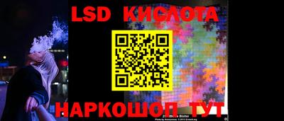 винт Новозыбков