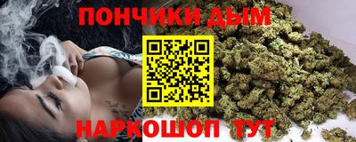 mdpv Новодвинск