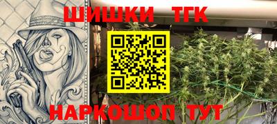 mdpv Новодвинск