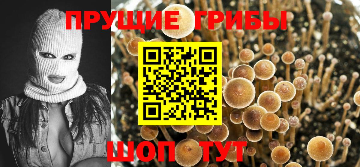 Псилоцибиновые грибы Magic Shrooms Саяногорск